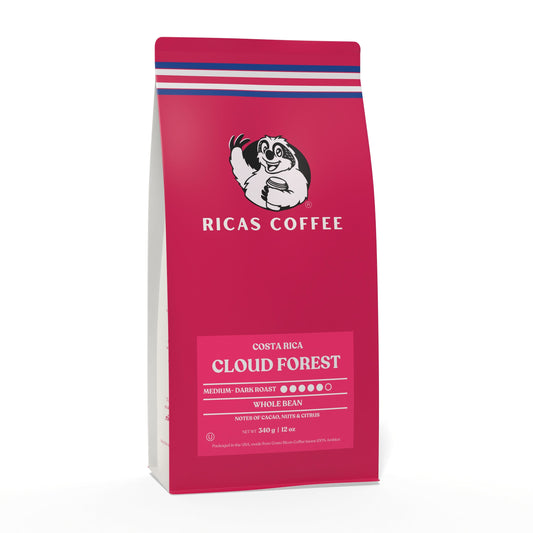 CLOUD FOREST